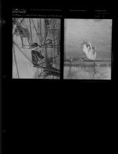 Feature on dog pound (2 Negatives) (March 17, 1956) [Sleeve 6, Folder a, Box 10]