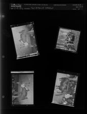 Fat stock show (4 Negatives) (April 9, 1956) [Sleeve 5, Folder b, Box 10]