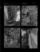New bridge; Tree fell on car (4 Negatives), March - July 1956, undated [Sleeve 23, Folder f, Box 10]