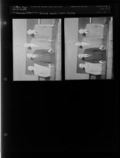 Science meets, Lears Irving (2 Negatives) (February 14, 1956) [Sleeve 8, Folder f, Box 9]