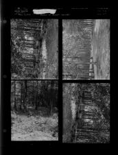 Green Springs feature (4 Negatives (May 14, 1955) [Sleeve 27, Folder a, Box 7]