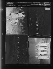 Tobacco Market opens; New National Guard Unit Recognized (4 Negatives (August 25, 1955) [Sleeve 8, Folder b, Box 7]