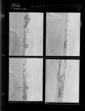 Wreck at NC 43 and NC 264 (4 Negatives (November 16, 1955) [Sleeve 24, Folder e, Box 7]