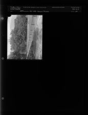 Old little league pictures (1 Negatives) undated, 1954 [Sleeve 20, Folder a, Box 6]