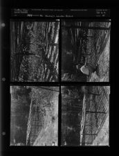 Mr. Beatry's garden feature (4 Negatives) undated, 1954 [Sleeve 21, Folder a, Box 6]