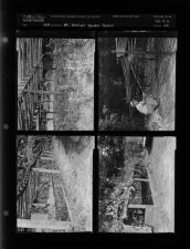 Mr. Beatry's garden feature (4 Negatives) undated, 1954 [Sleeve 22, Folder a, Box 6]