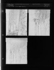 Heater Well Company (3 Negatives (January 7, 1955) [Sleeve 10, Folder b, Box 6]