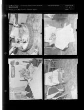 Siamese Kittens (4 Negatives (February 19, 1955) [Sleeve 42, Folder c, Box 6]