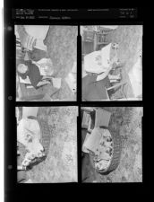 Siamese Kittens (4 Negatives (February 19, 1955) [Sleeve 43, Folder c, Box 6]