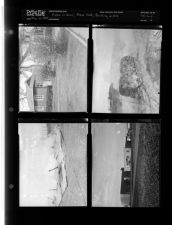 Bushes in bloom; Moose Club; Building on fire (4 Negatives (March 2, 1955) [Sleeve 2, Folder d, Box 6]