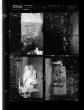 Car and Jacksonville Moving Co. van collide (4 Negatives (March 2, 1955) [Sleeve 4, Folder d, Box 6]