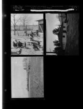 Feature Farm - 4 H club (4 Negatives (March 7, 1955) [Sleeve 18, Folder d, Box 6]