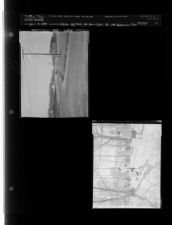 Easter egg hunt (2 Negatives (April 9, 1955) [Sleeve 10, Folder e, Box 6]
