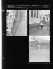 Feature on Spring (3 Negatives (April 16, 1955) [Sleeve 29, Folder e, Box 6]