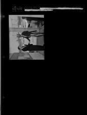 Falkland Farmer's Day (4 Negatives (April 22, 1955) [Sleeve 42, Folder e, Box 6]