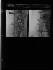 Fire at Grinedard (2 Negatives (September 17, 1954) [Sleeve 44, Folder a, Box 5]