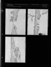 Wreck (3 Negatives (September 19, 1954) [Sleeve 58, Folder a, Box 5]