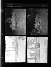 Wrecks (4 Negatives (November 1, 1954) [Sleeve 3, Folder c, Box 5]