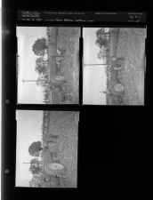 Farm feature, gathering corn (3 Negatives (November 13, 1954) [Sleeve 21, Folder c, Box 5]