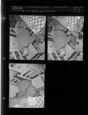 Williams dies of heart attack (3 Negatives (November 15, 1954) [Sleeve 22, Folder c, Box 5]