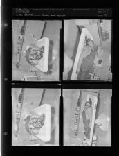 Owens man suicide (4 Negatives (November 29, 1954) [Sleeve 74, Folder c, Box 5]