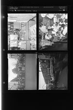 Christmas issue (4 Negatives (December 20, 1954) [Sleeve 54, Folder d, Box 5]