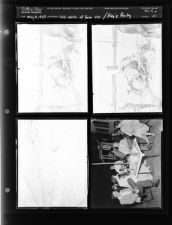 Odd Shots of Farm; Kay's Party (4 Negatives) (May 8, 1954) [Sleeve 21, Folder a, Box 4]