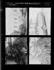 Army and Air Force Parade Banners; Flowers (4 Negatives) (May 12, 1954) [Sleeve 33, Folder a, Box 4]