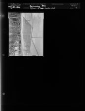 Swimming Pool (1 Negative) (May 20, 1954) [Sleeve 48, Folder a, Box 4]