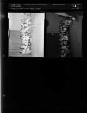 Baby Contest (2 Negatives) (May 21, 1954) [Sleeve 54, Folder a, Box 4]