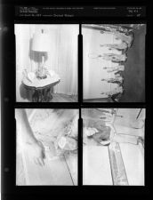Cricket feature (4 Negatives) (June 26, 1954) [Sleeve 64, Folder c, Box 4]