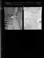 Cricket feature (2 Negatives) (June 26, 1954) [Sleeve 65, Folder c, Box 4]