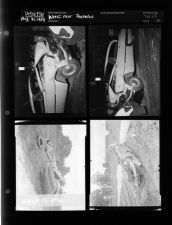 Wreck near Pactolus (4 Negatives) (August 21, 1954) [Sleeve 32, Folder f, Box 4]