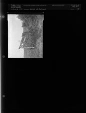 Wreck at Railroad (1 Negative) (August 21, 1954) [Sleeve 34, Folder f, Box 4]