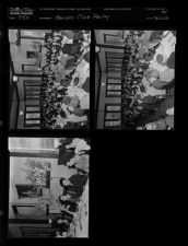 Garden Club Christmas Show (3 Negatives), 1950 [Sleeve 12, Folder c, Box 1]
