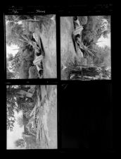 Storms (4 Negatives), 1950 [Sleeve 70, Folder c, Box 1]