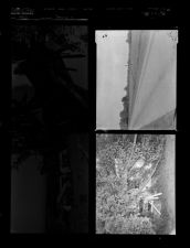 Storms (4 Negatives), 1950 [Sleeve 72, Folder c, Box 1]