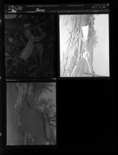 Storms (4 Negatives), 1950 [Sleeve 74, Folder c, Box 1]
