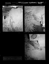 Jessie Williams Murder Trial (3 Negatives), 1950 [Sleeve 81, Folder c, Box 1]