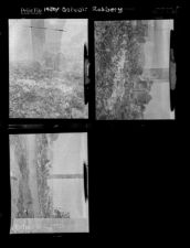 Belvoir Robbery (3 Negatives), 1950 [Sleeve 83, Folder c, Box 1]