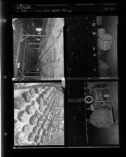 First Tobacco Put In (4 Negatives), 1952 [Sleeve 9, Folder e, Box 1]