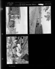 Pitt County School Bus Feature; Hog killing (3 Negatives), 1952 [Sleeve 23, Folder e, Box 1]