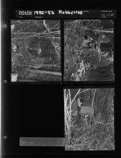 Robberies (3 Negatives) (1952-1953) [Sleeve 29, Folder f, Box 1]