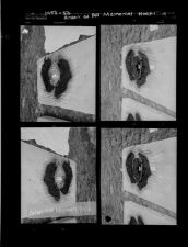 Arson at Pitt Memorial Hospital (4 Negatives) (1952-1953) [Sleeve 2, Folder g, Box 1]
