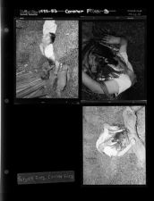 Coroner Files B (3 Negatives) (1952-1953) [Sleeve 12, Folder g, Box 1]