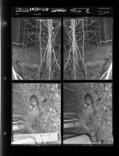 Coroner Files C (4 Negatives) (1952-1953) [Sleeve 22, Folder g, Box 1]