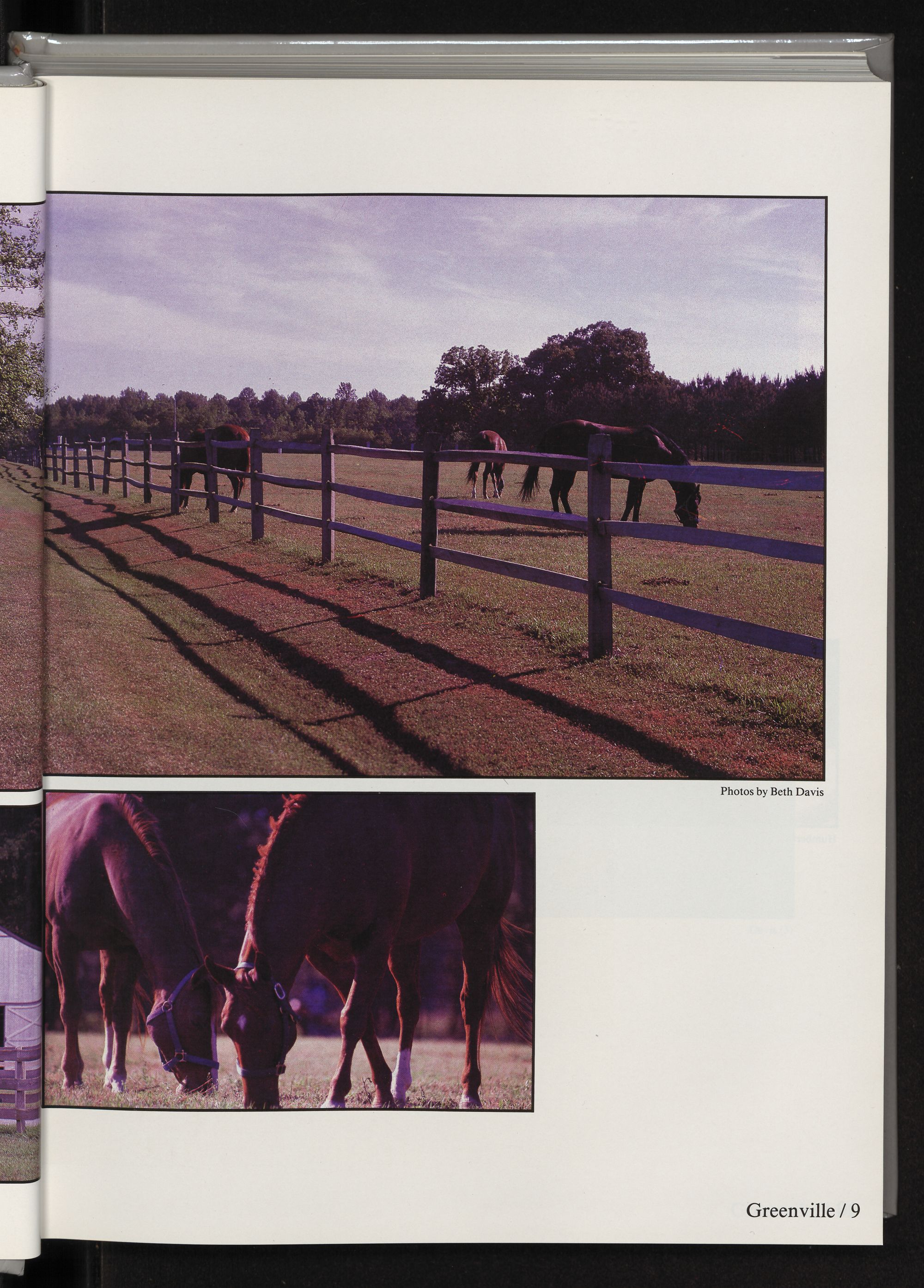 Evidence that asymmetry of the membrane/cytoskeletal complex in human red  blood cell ghosts is responsible for their biconcave shape | PNAS, image size:2000x2787