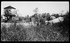 Negatives of agriculture and animals