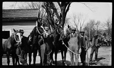 Negatives of agriculture and animals