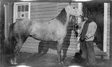 Negatives of agriculture and animals